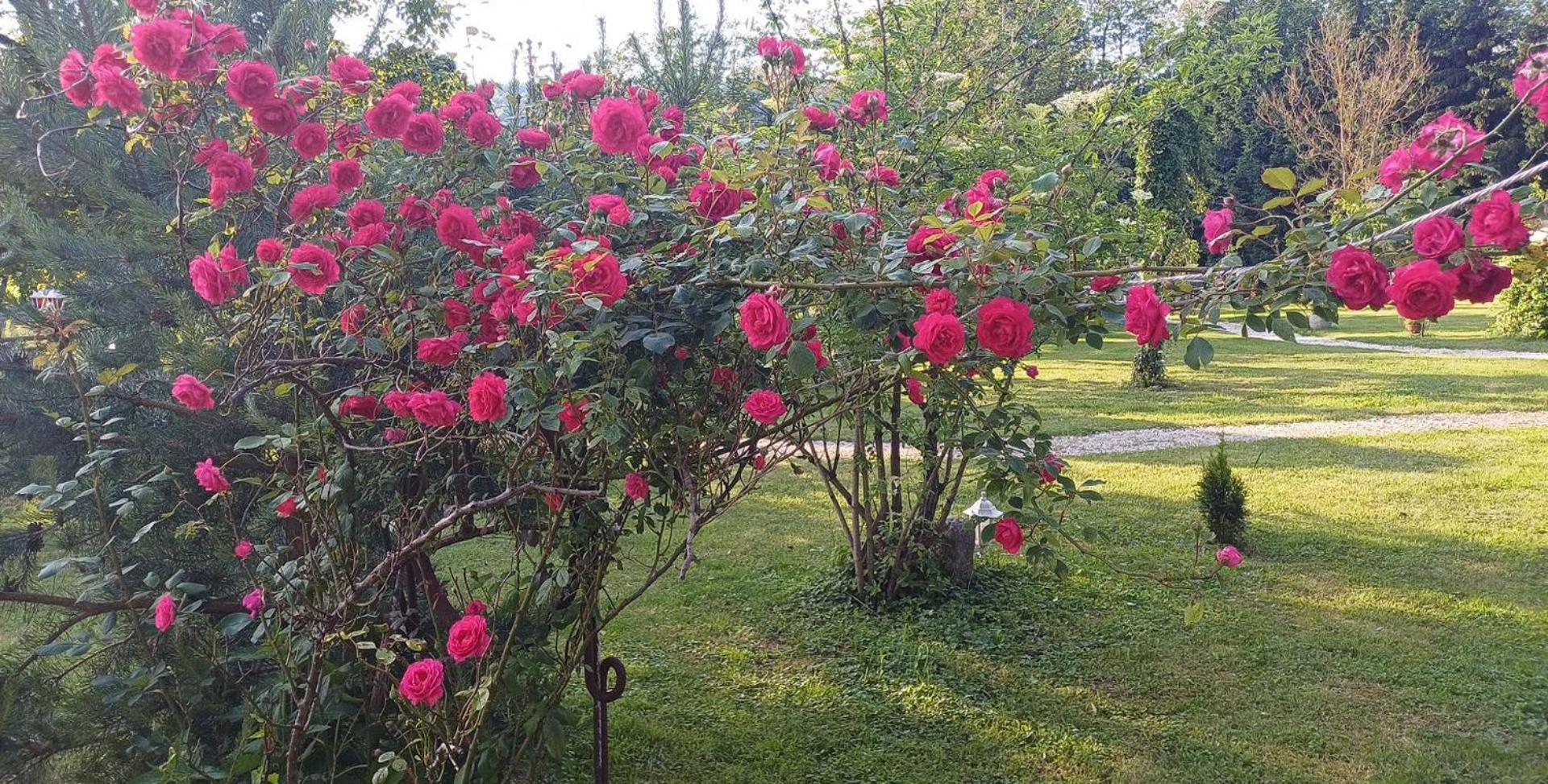 Edenski Vrt Ivancna Gorica Exterior foto